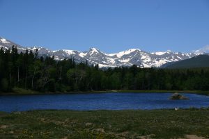 IMG_7951
