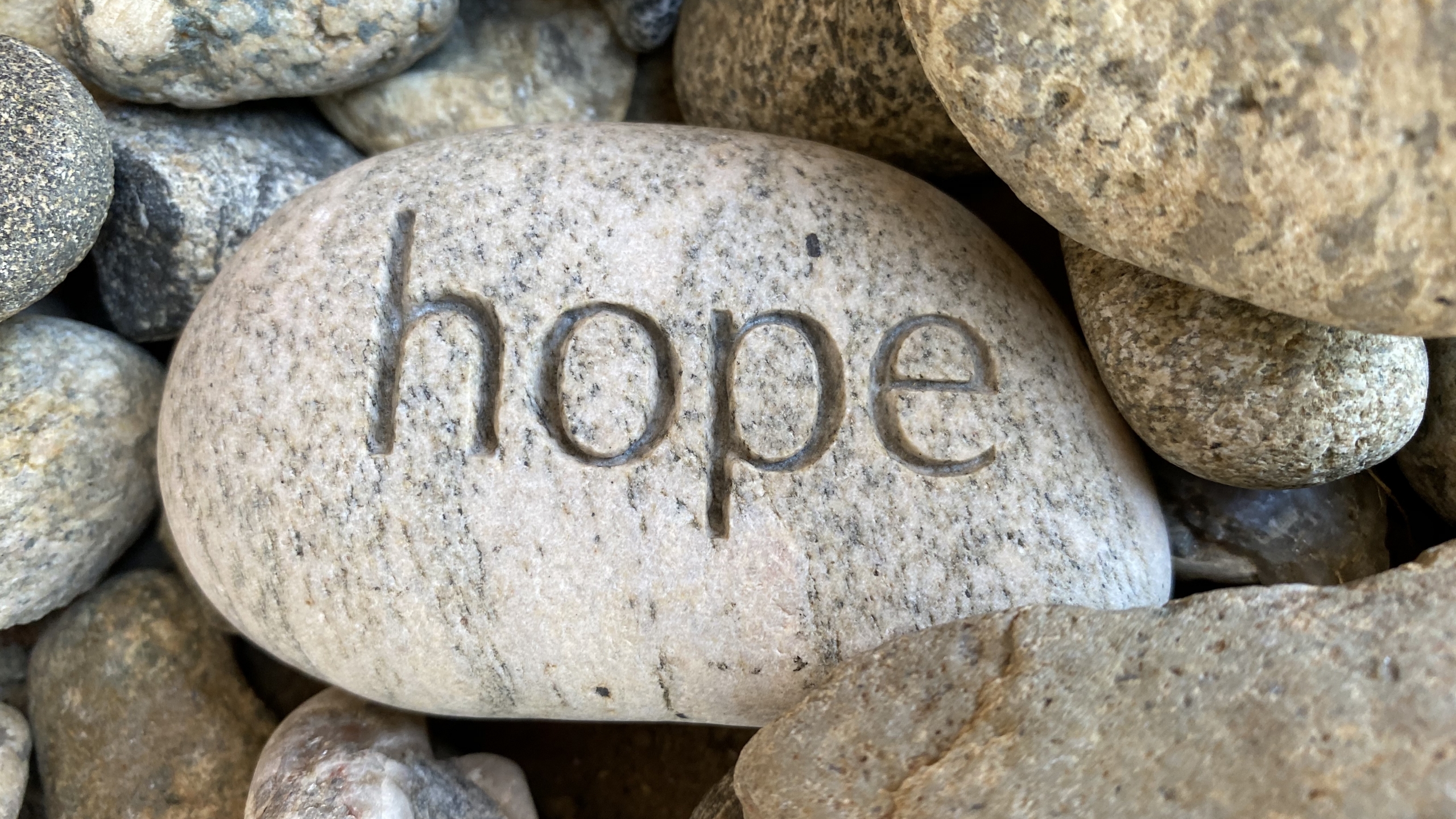 COMMENTARY – WHERE IS THE HOPE?