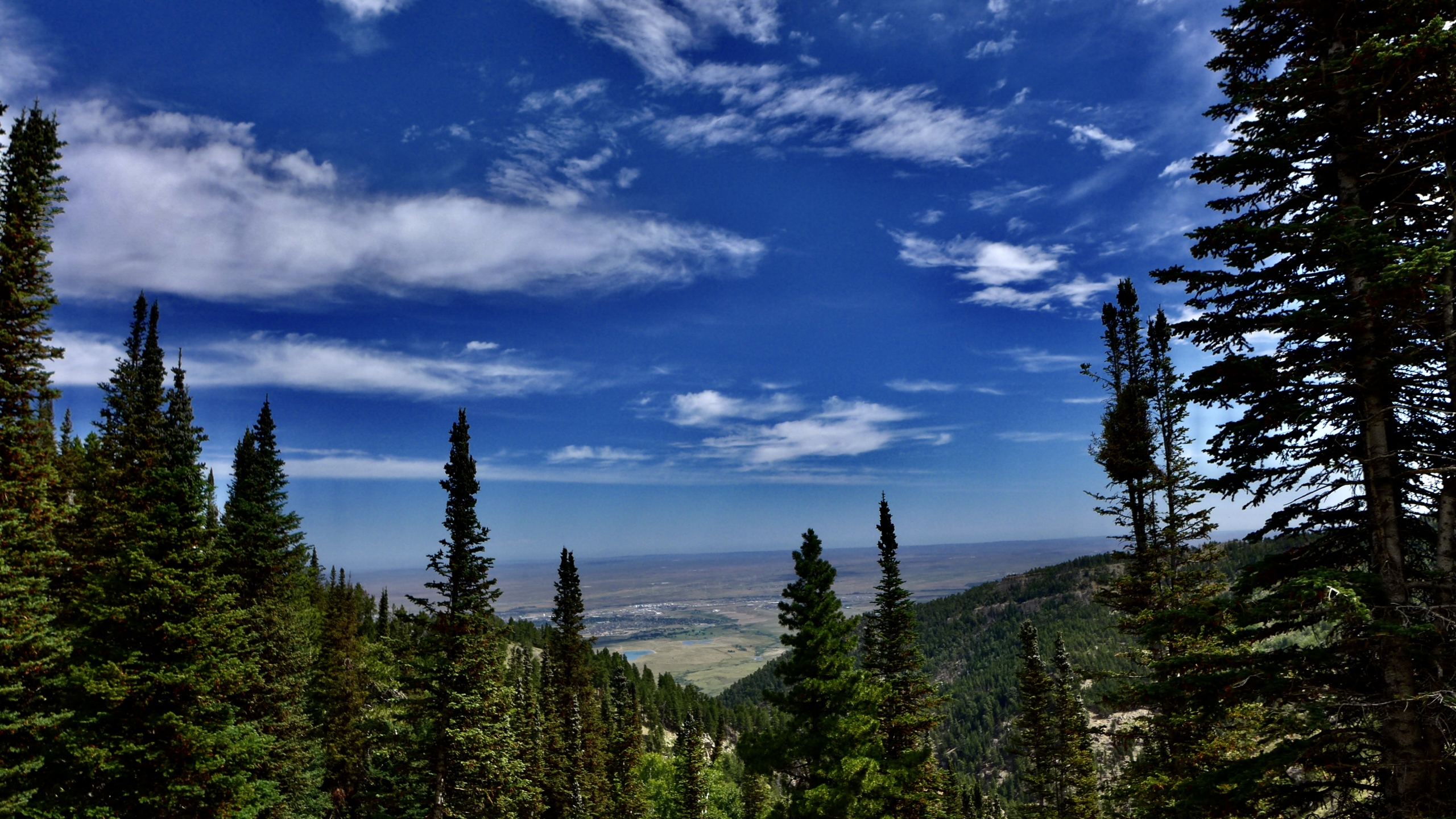 Wyoming 2020 Camp Meeting to go virtual