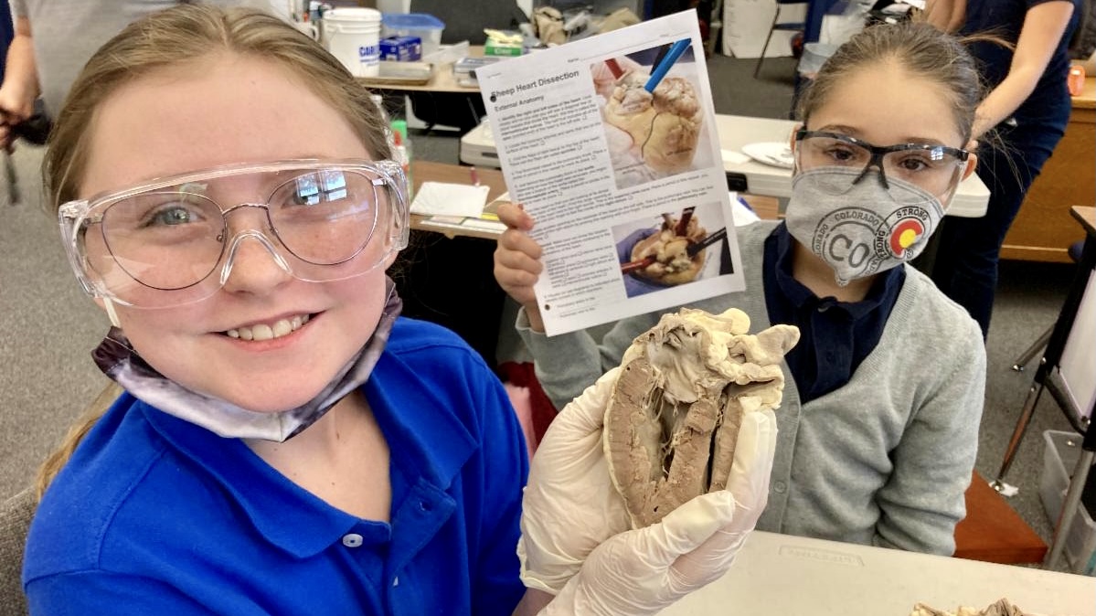 HMS RICHARDS “Can Do” STUDENTS Dissect Hearts