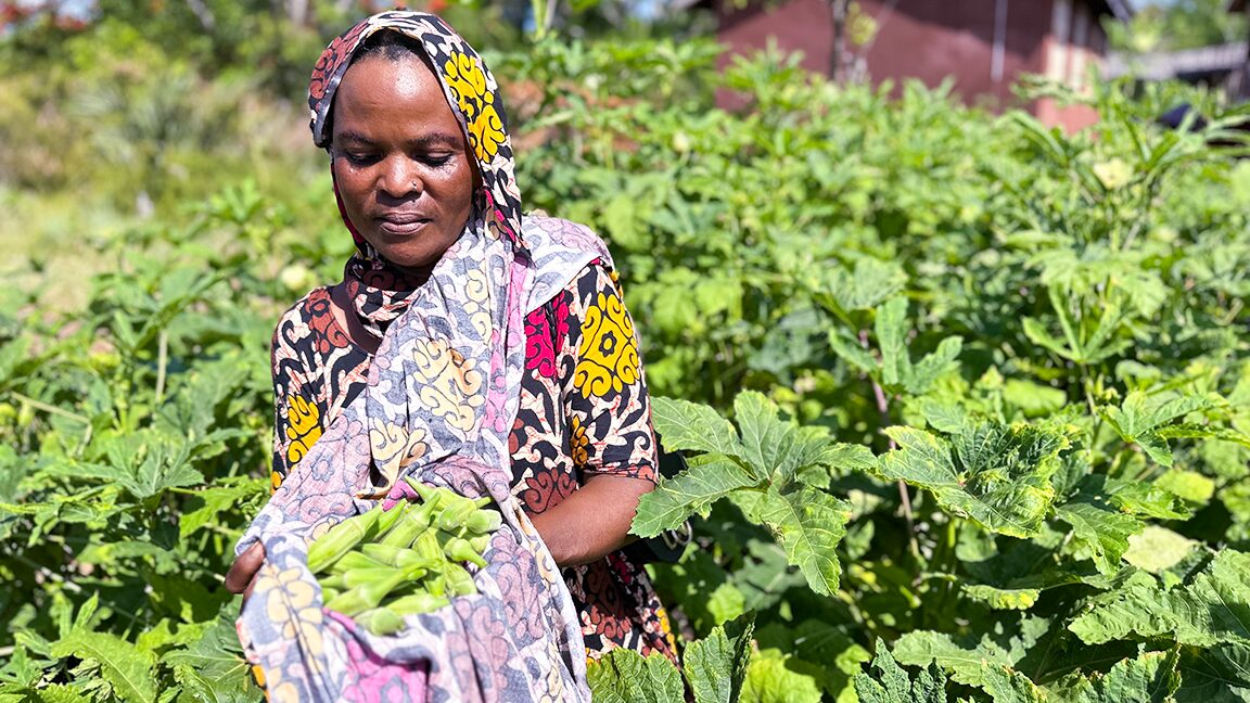 ADRA PRESERVES GOD’S CREATION THROUGH COMMUNITY GARDENS AND REFORESTATION
