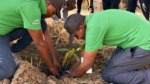 Treeplanting-after-Disaster-Risk-Reduction-Training-in-Mozambique